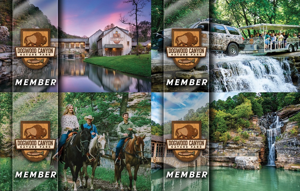 CARD,MEMBERSHIP,DWC